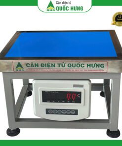 Cân ghế trung VDI02 38x48cm