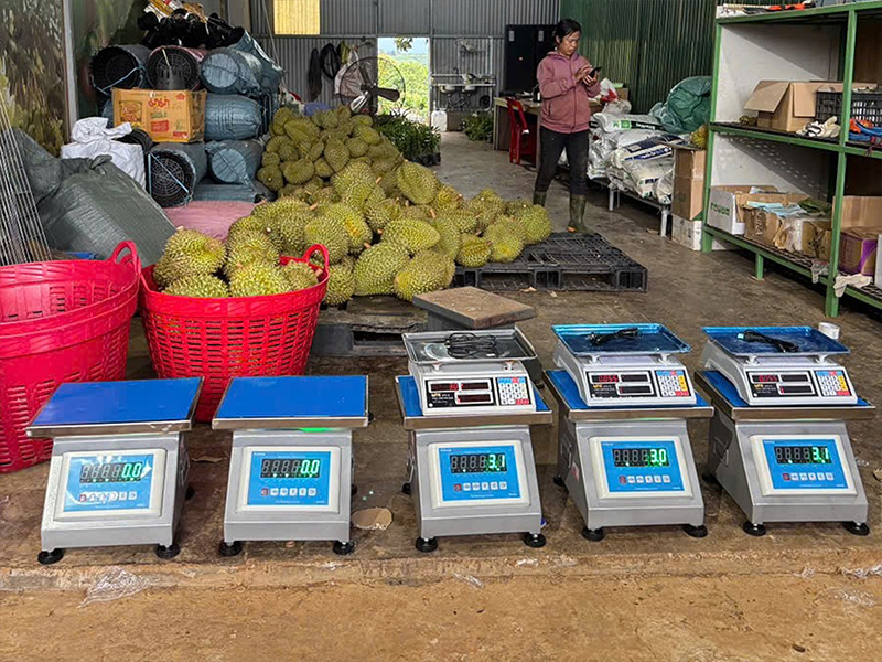 cân đồng hồ