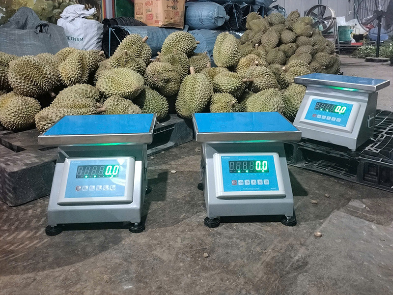 Cân sầu riêng