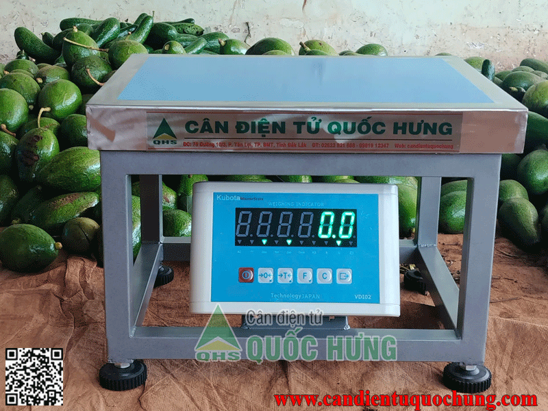 cân sầu riêng