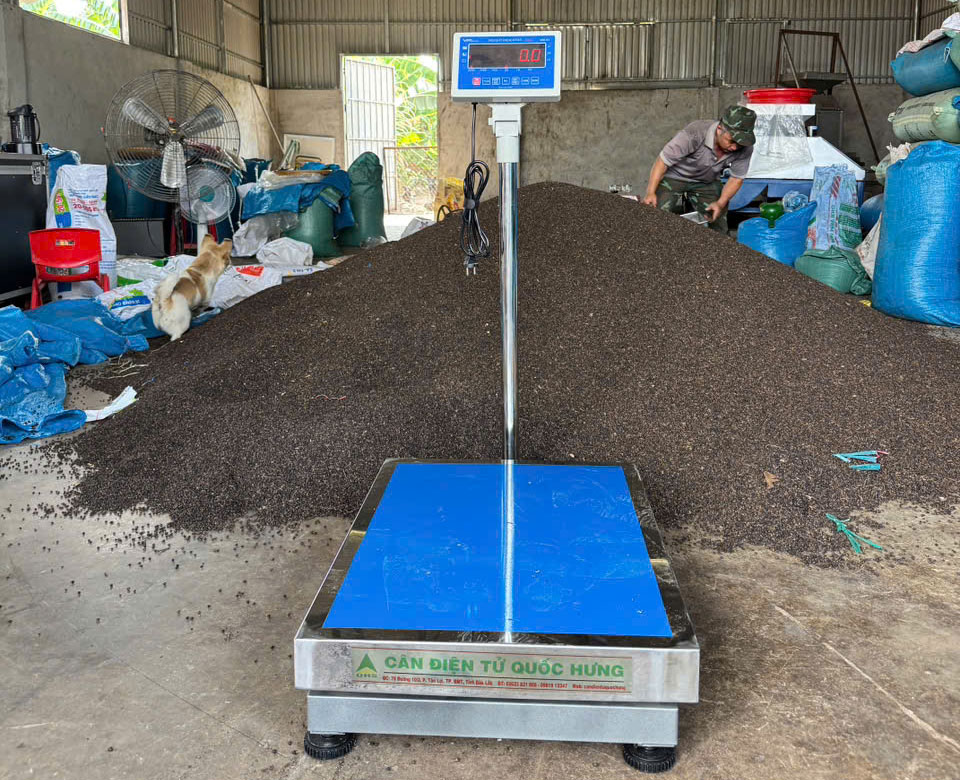 cân bàn 500kg gia lai