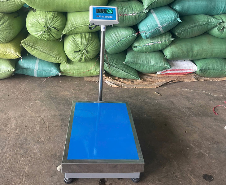 Cân bàn điện tử Gia Lai