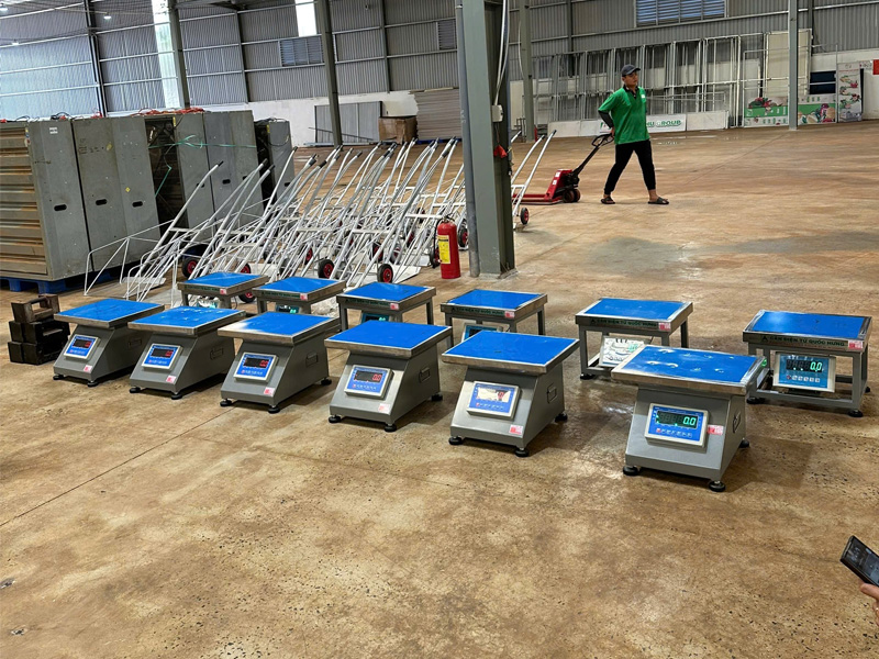 Cân đồng hồ điện tử 300kg VDI01 – VPTSensor