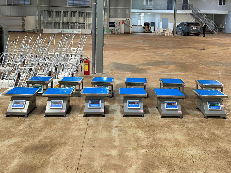 Lắp đặt & bàn giao Cân đồng hồ điện tử 300kg cho kho sầu riêng tại Krông Năng