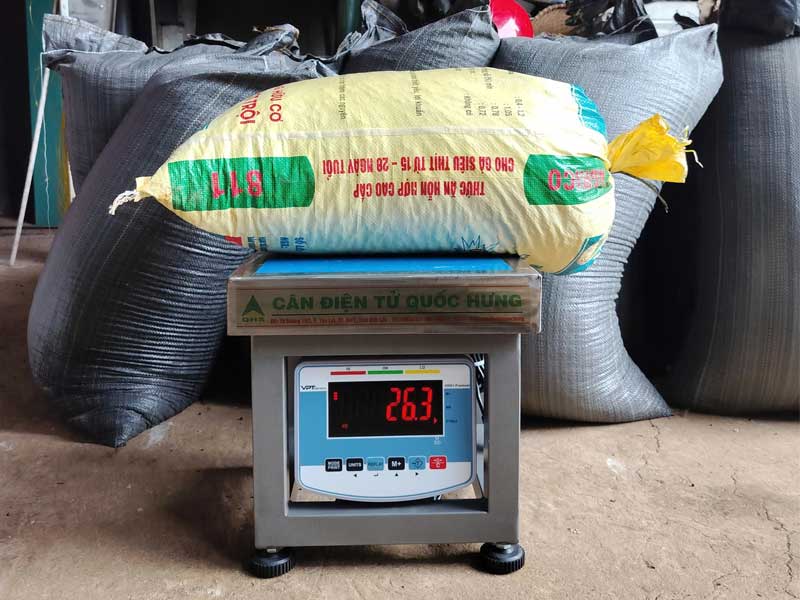 Cân ghế điện tử 300kg cho kho cà phê tại Đăk Lăk