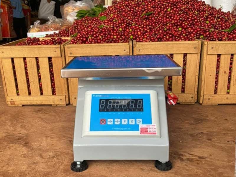 Cân Đồng Hồ Điện Tử 60kg – 300kg Quốc Hưng