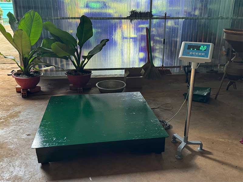 Lắp đặt bàn giao cân bàn 3 tấn tại Gia Nghĩa