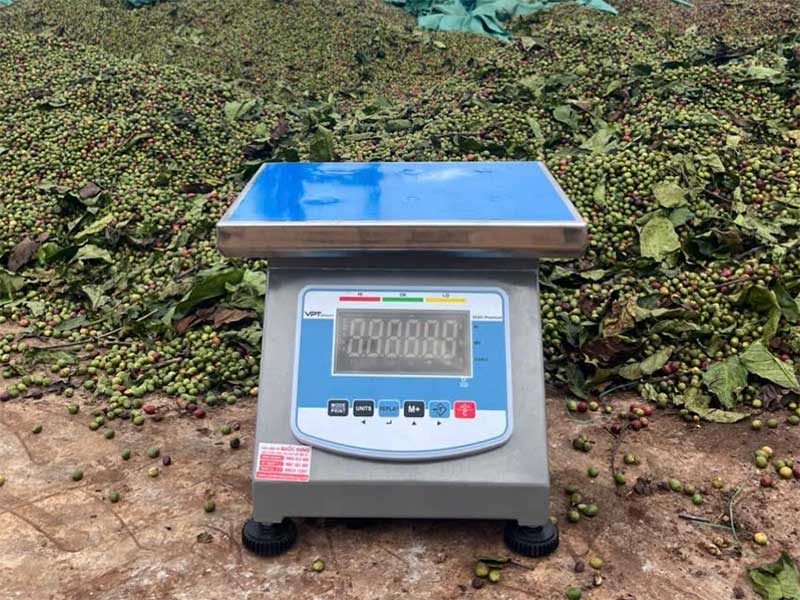 Cân Đồng Hồ Điện Tử VDI01 Premium