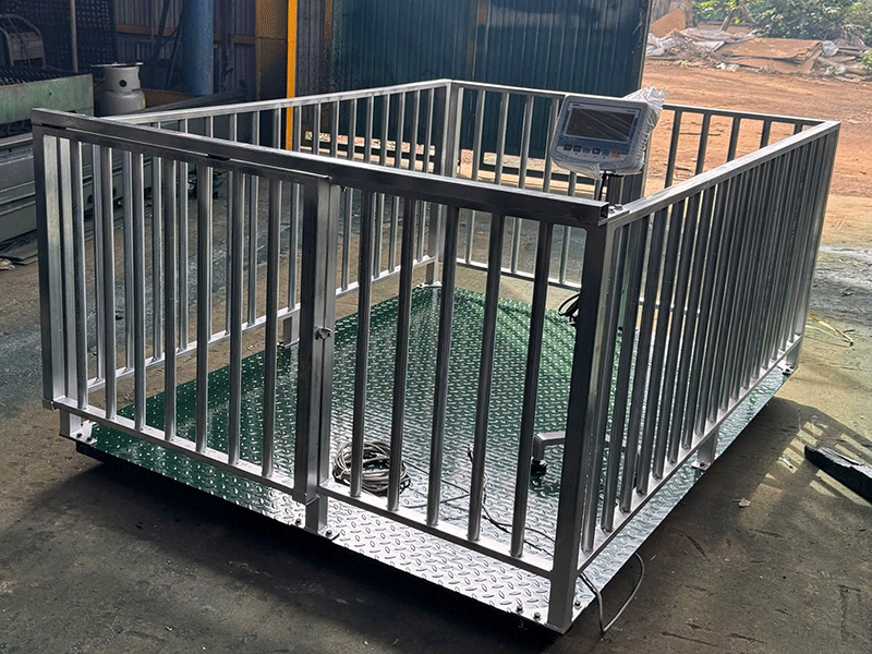 Cân heo điện tử 1 tấn