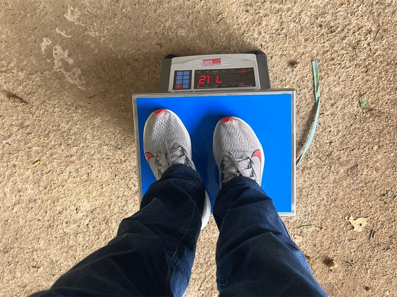 Hiểu đúng các chỉ số trên cân điện tử