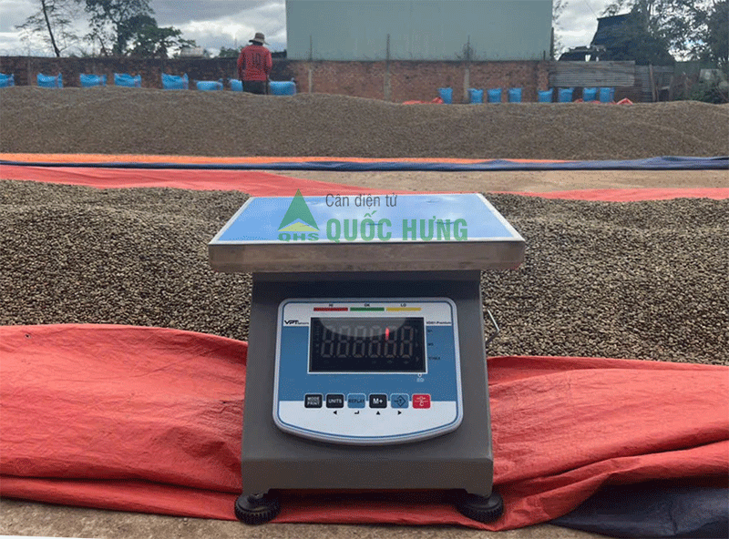 Lắp đặt & bàn giao cân đồng hồ 300kg tại Gia Lai