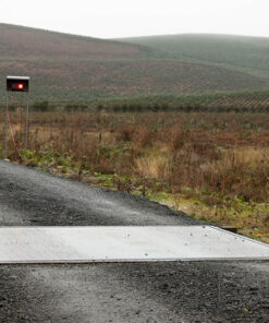 Cân trục bánh xe