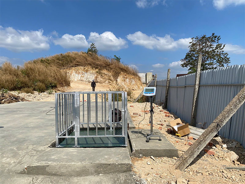 Cân heo điện tử 1 tấn 