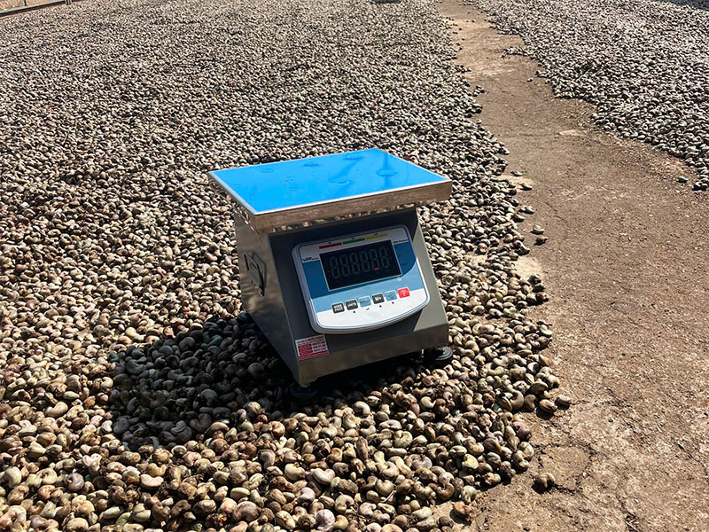 Cân điện tử Quốc Hưng