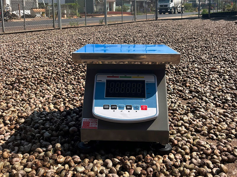 cân điều điện tử