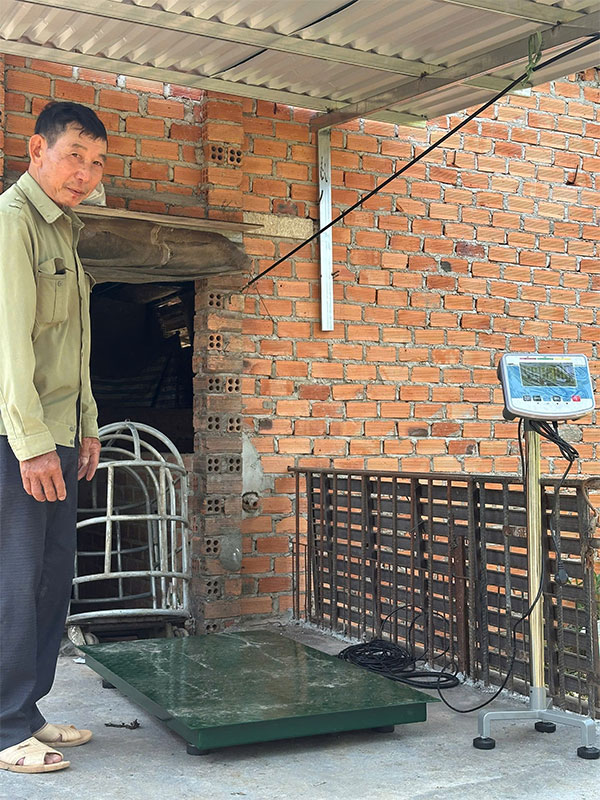 Bàn giao lăp đặt Cân heo điện tử 500kg tại Đăk Lăk