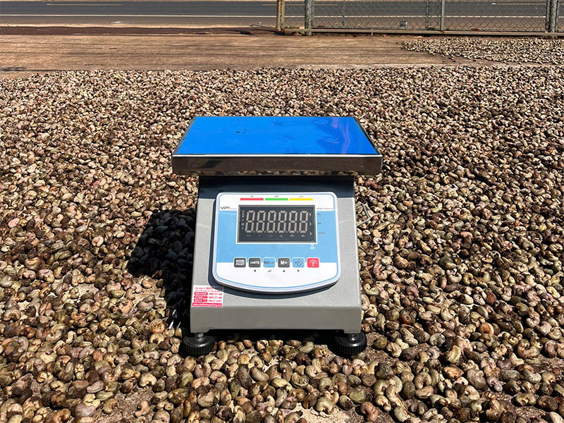 Cân đồng hồ điện tử cho thu mua điều