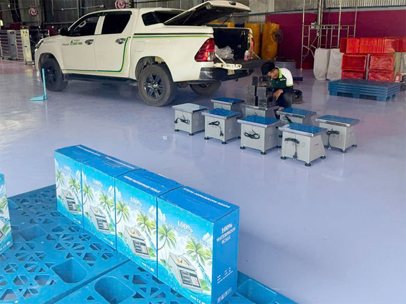 Cân sầu riêng 300kg