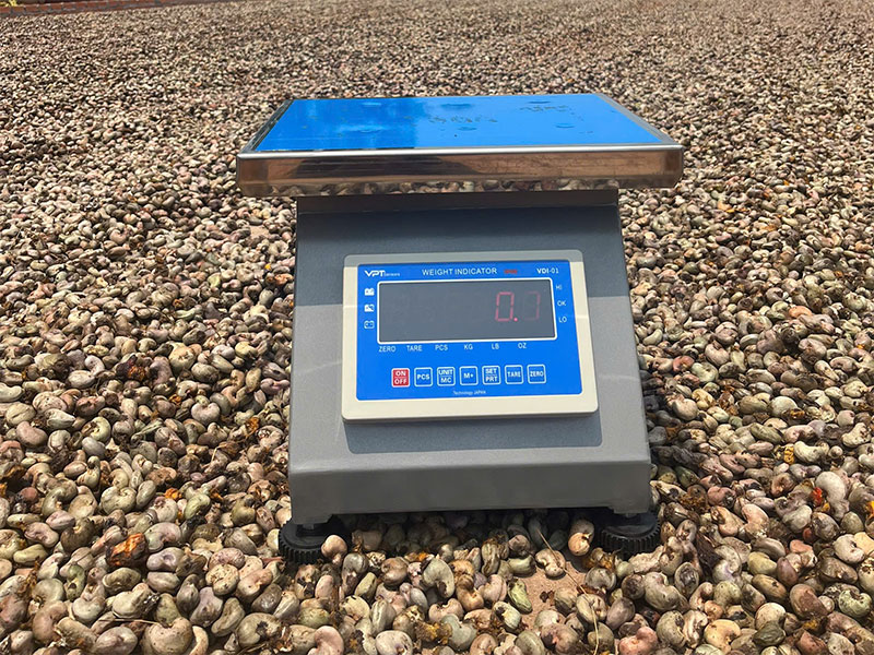 Cân Điện Tử Ngành Điều