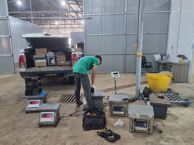 Các sự cố cân điện tử thường gặp tại các kho thu mua sầu riêng