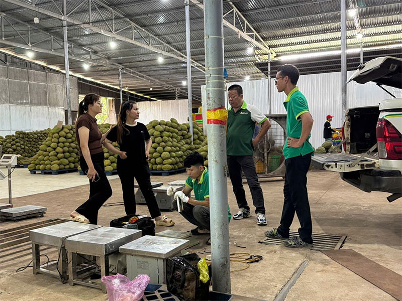 Dịch Vụ Kiểm Tra, Sửa Chữa, Bảo Trì Cân Điện Tử Sầu Riêng Đắk Lắk Tận Nơi