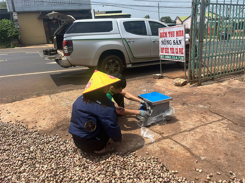 sửa cân điện tử lâm đồng