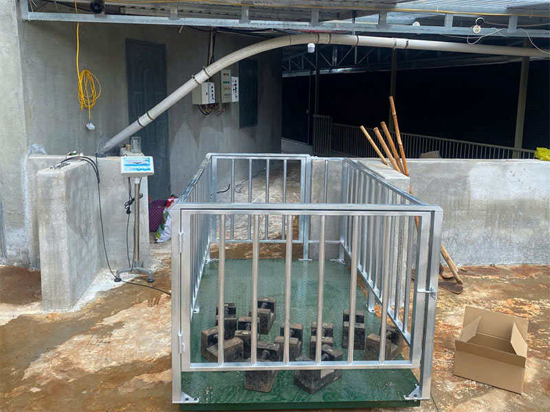 Lắp Đặt Và Bàn Giao Cân Heo Điện Tử 1 Tấn Tại Cư M'gar