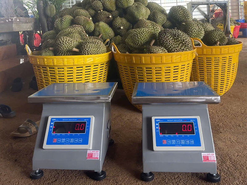 Sửa Cân Bàn Điện Tử Tại Kho Sầu Riêng Bảo Lộc