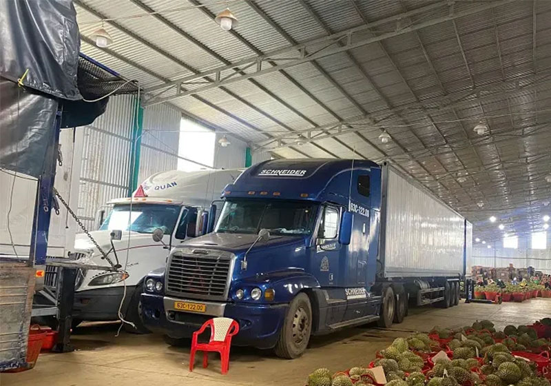 Quốc Hưng cung cấp giải pháp cân cho kho sầu riêng