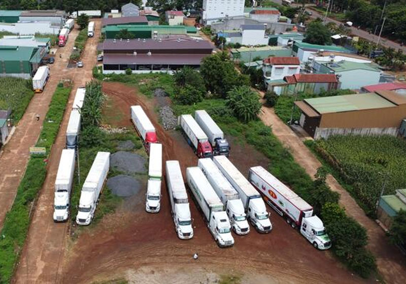 Kho sầu riêng nên chọn loại trạm cân nào?
