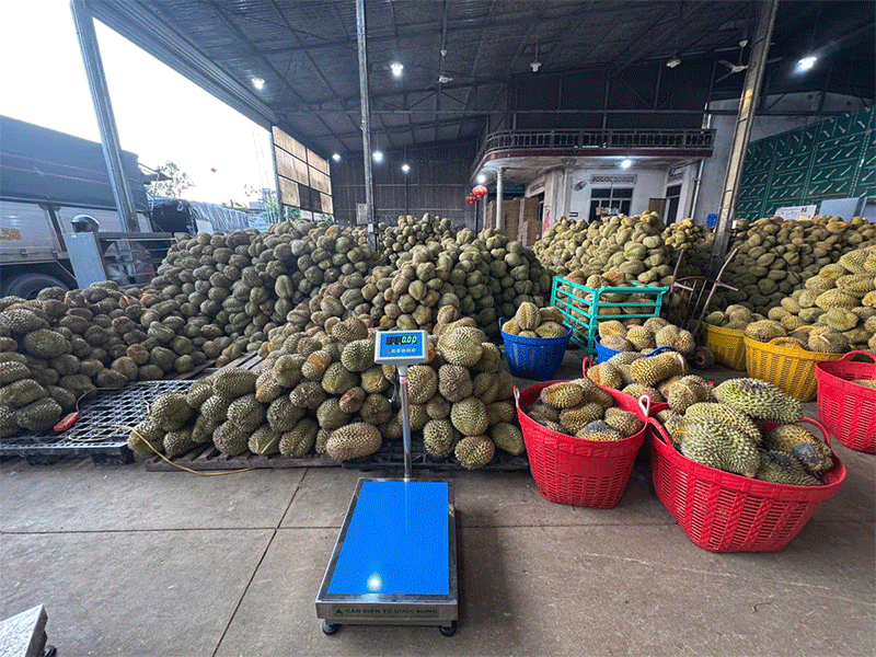 Cân bàn điện tử
