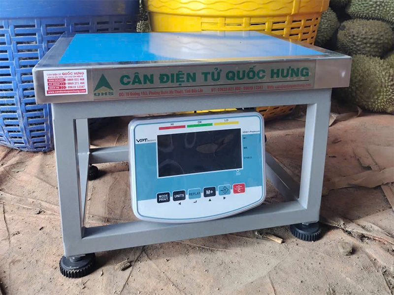 cân ghế sầu riêng bảo lâm