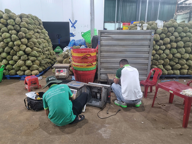 Nhận Sửa Chữa, Bảo Trì Cân Điện Tử Tại Đắk Lắk